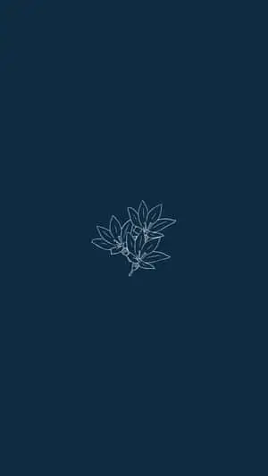 Modern aesthetics of minimalist iPhone
