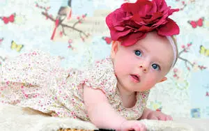 Baby Girl Butterfly 