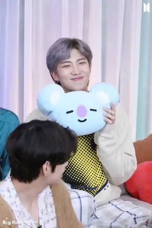  Caption: Adorable RM Plush Toy Inspired by BTS Band Member 