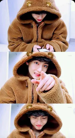 BTS Tae Hyung Bear Hoodie