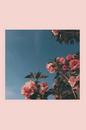 Enjoy the cute aesthetic of your iPad 