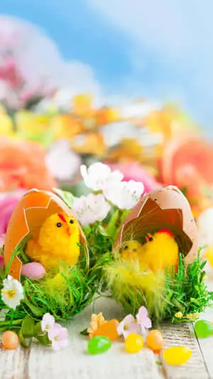 Cute Easter Iphone With Two Hatched Eggs