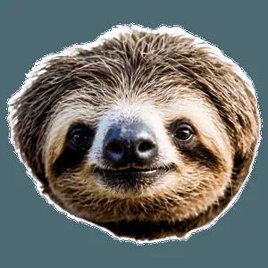 Cute Sloth PNG iqp41