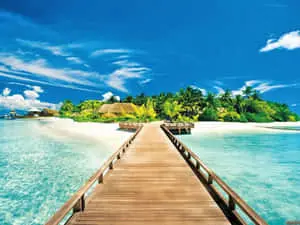 Cute Summer Beach Island