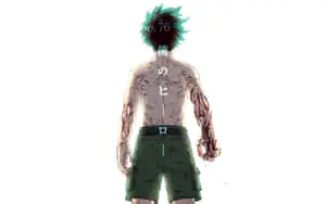 Picture Of Deku's Injured Back