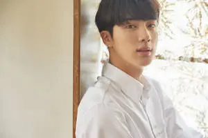 Dreamy BTS Jin
