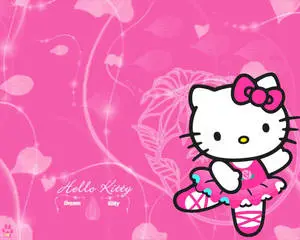 Look at this graceful ballerina, dressed up in her pink Hello Kitty dress!