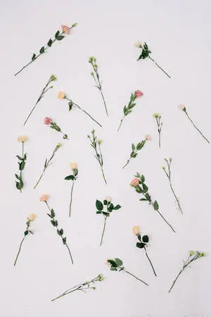 iPad Pro Cute Thin Flowers