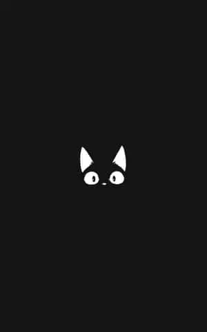 Jiji the Charming Black Cat