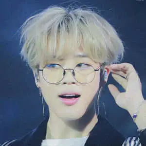 "The Beauty of Jimin"