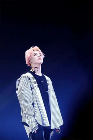 Jimin HD The Wings Concert 2017