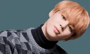 Jiminin Plaid Sweater